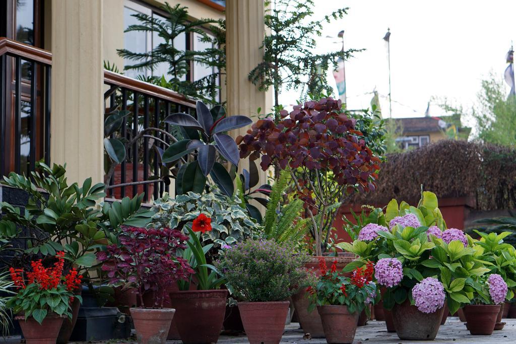 Swayambhu View Guest House Kathmandu Exteriör bild